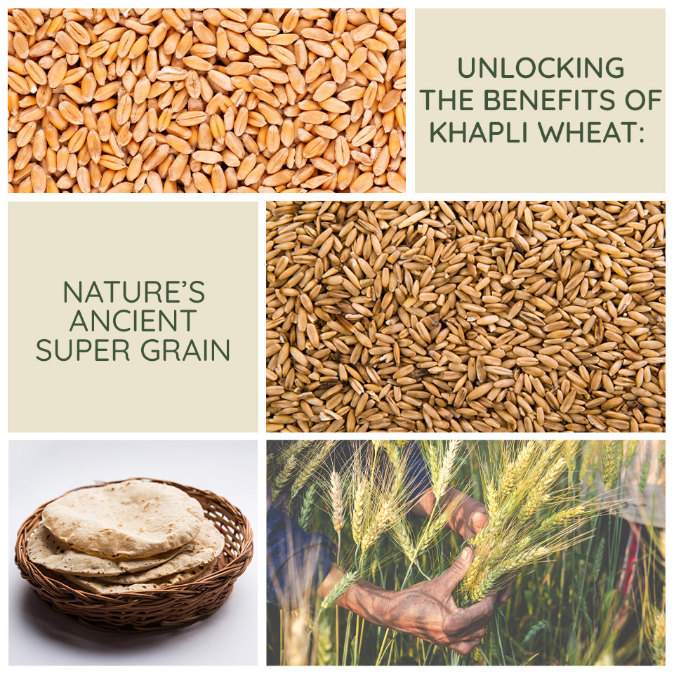 Khapli Wheat blog