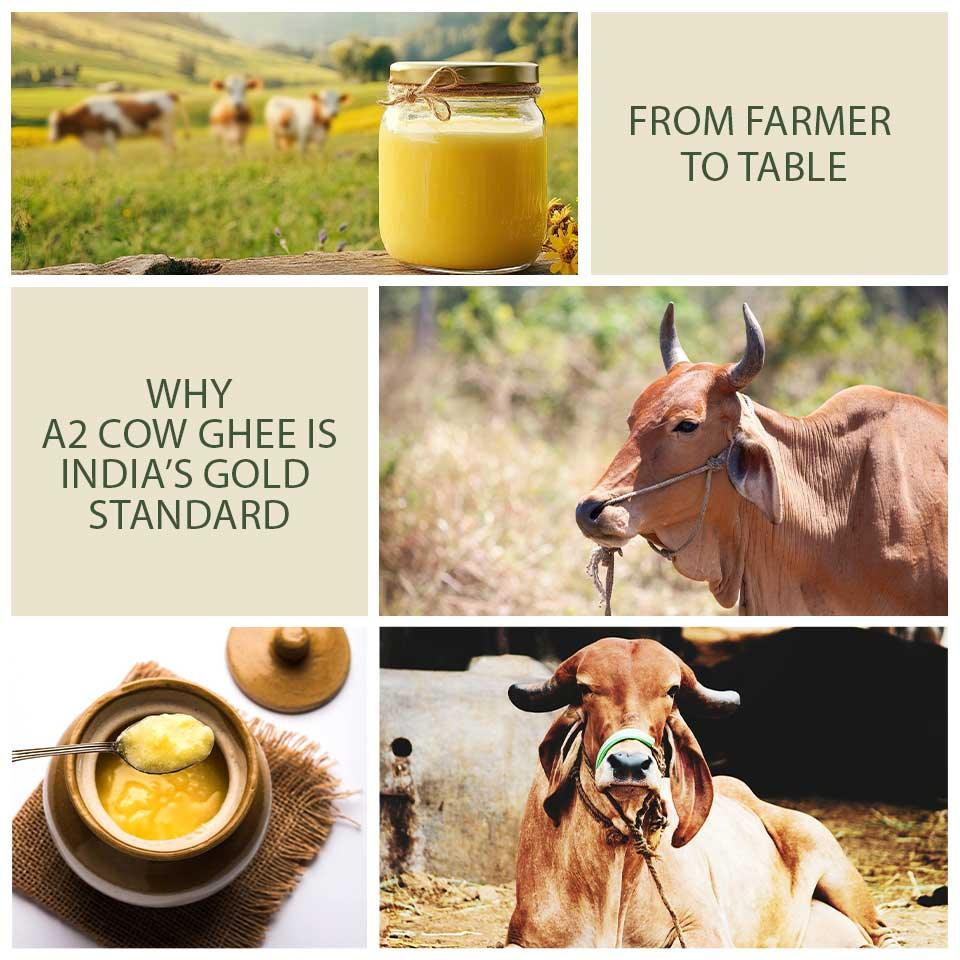 From Farmer to Table: Why A2 Cow Ghee is India’s Gold Standard