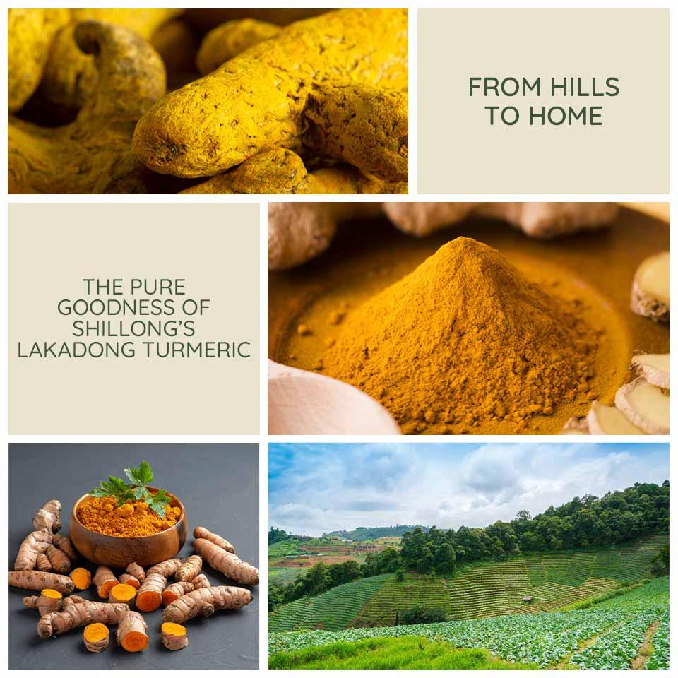 From Hills to Home: The Pure Goodness of Shillong’s Lakadong Turmeric