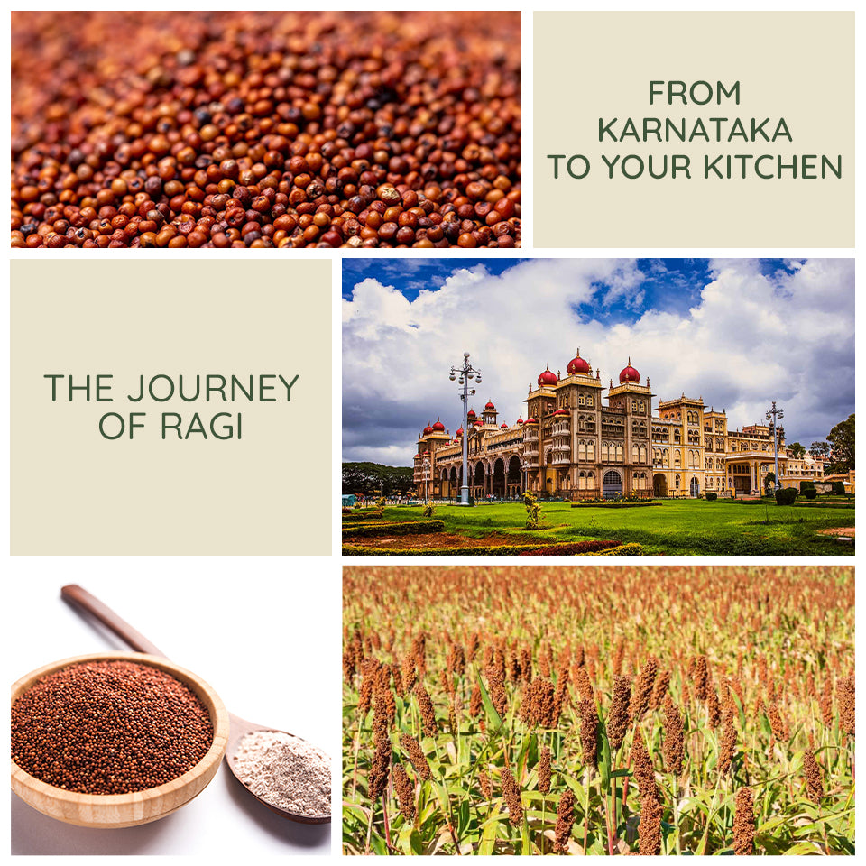 Ragi The Nuva