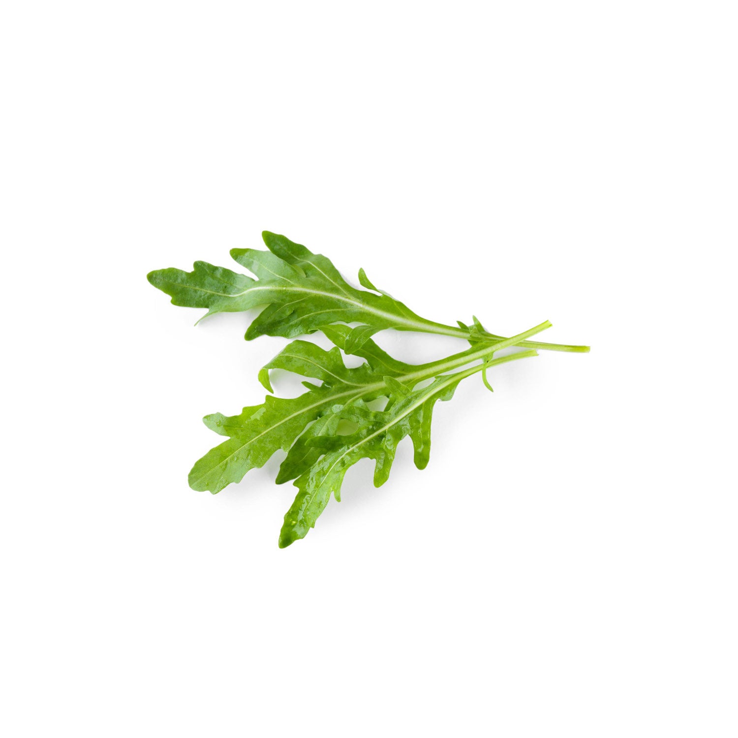 Arugula