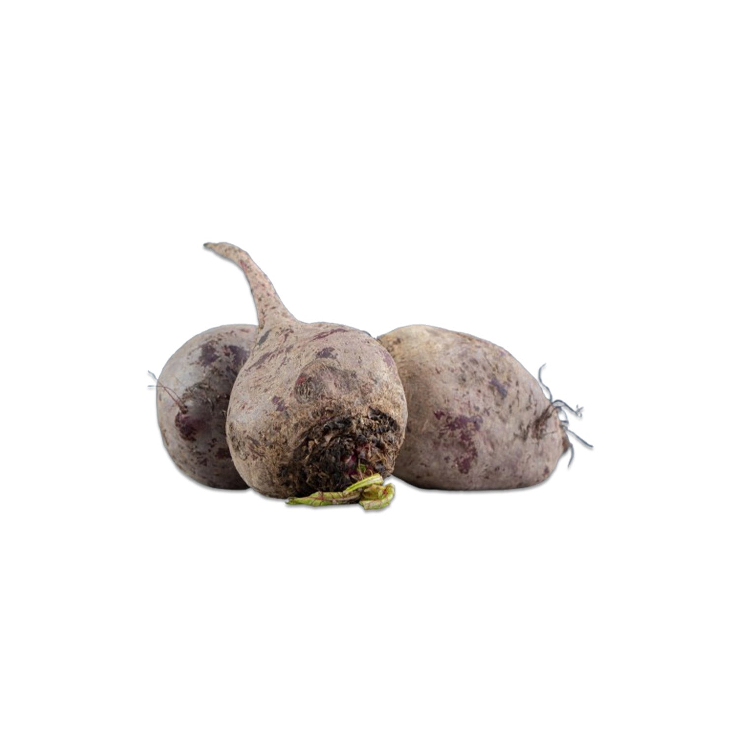 Ozone Washed - Beetroot