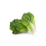 Chinese Cabbage from the nuva