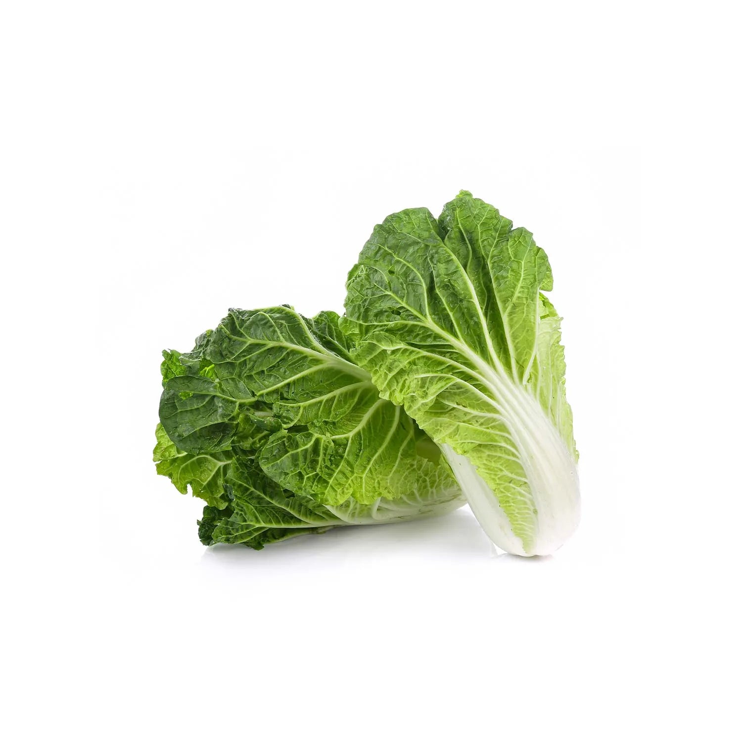 Chinese Cabbage from the nuva