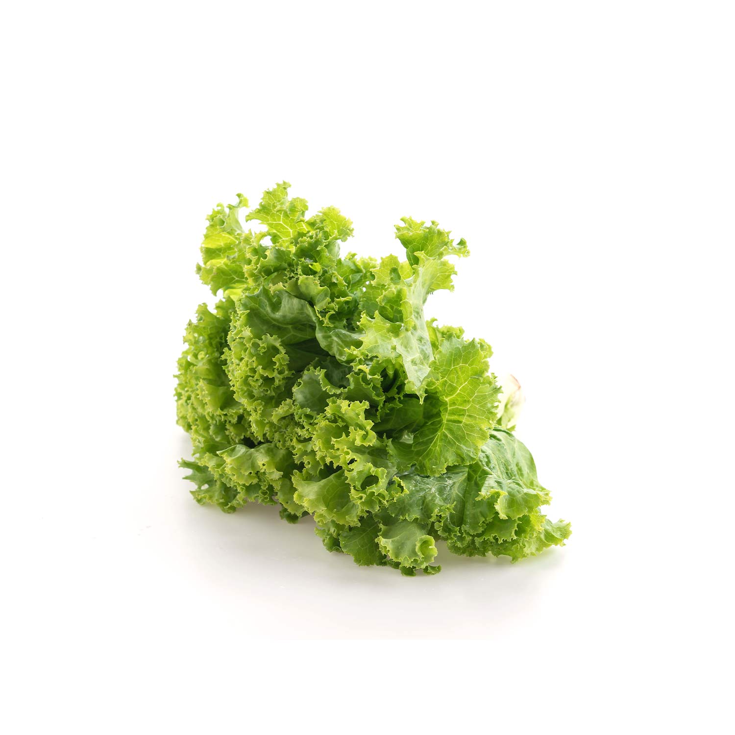 Green Lettuce