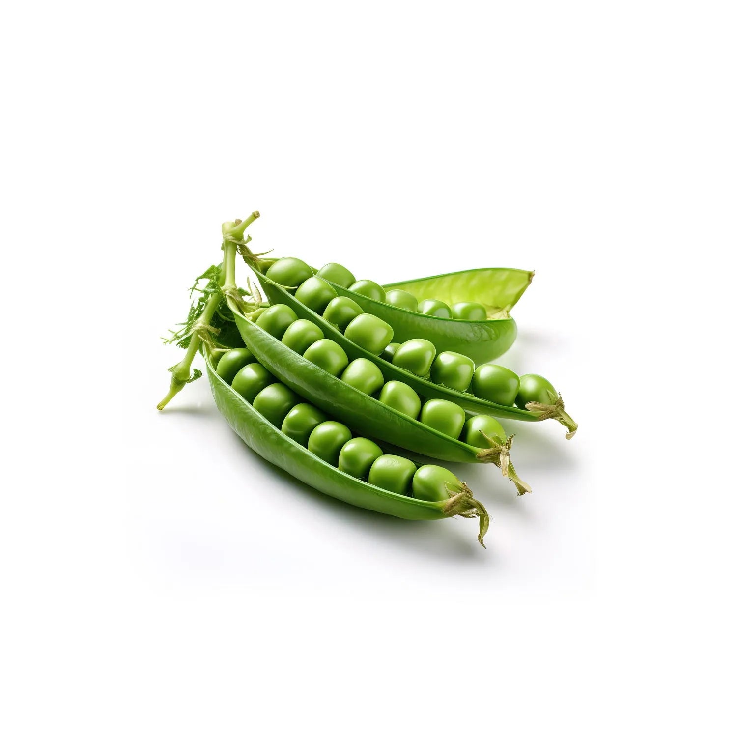 Green peas from the nuva