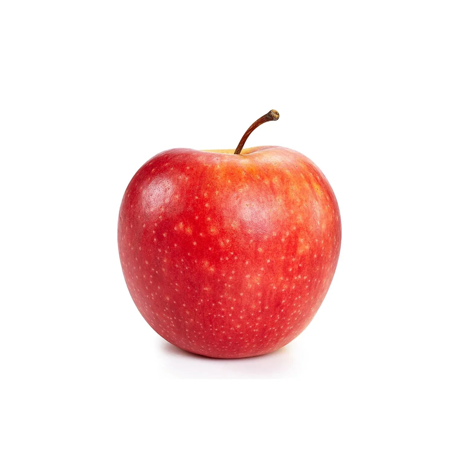 Himachal apple the nuva