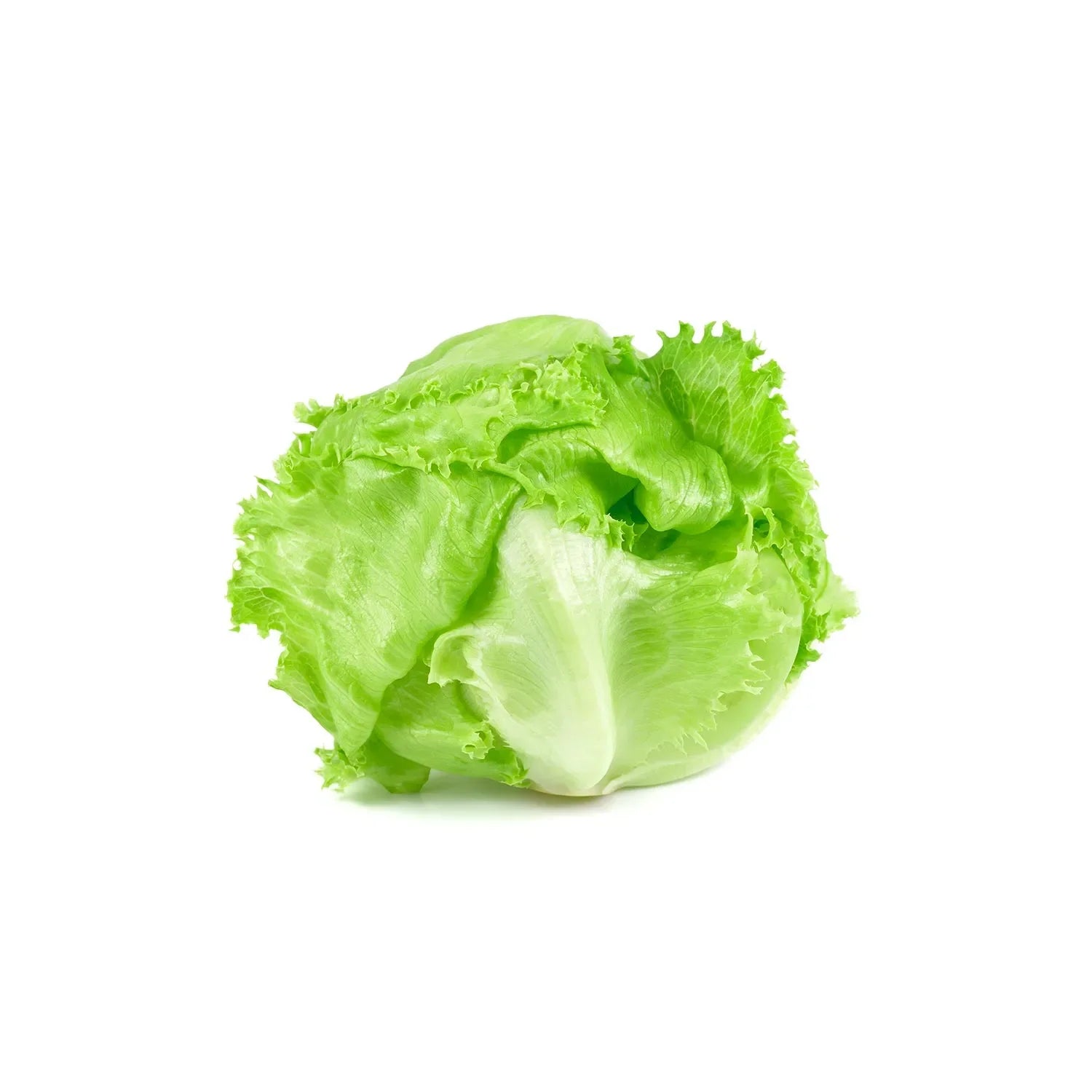 Iceberg lettuce from the nuva