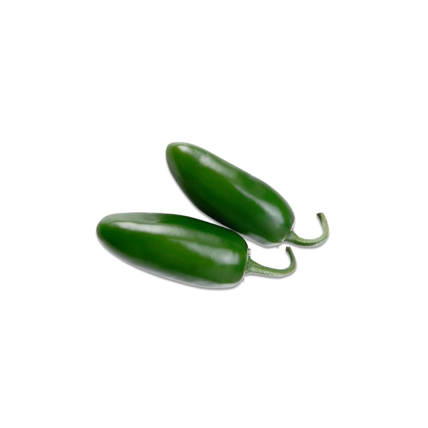 Jalepeno Chilli from the nuva