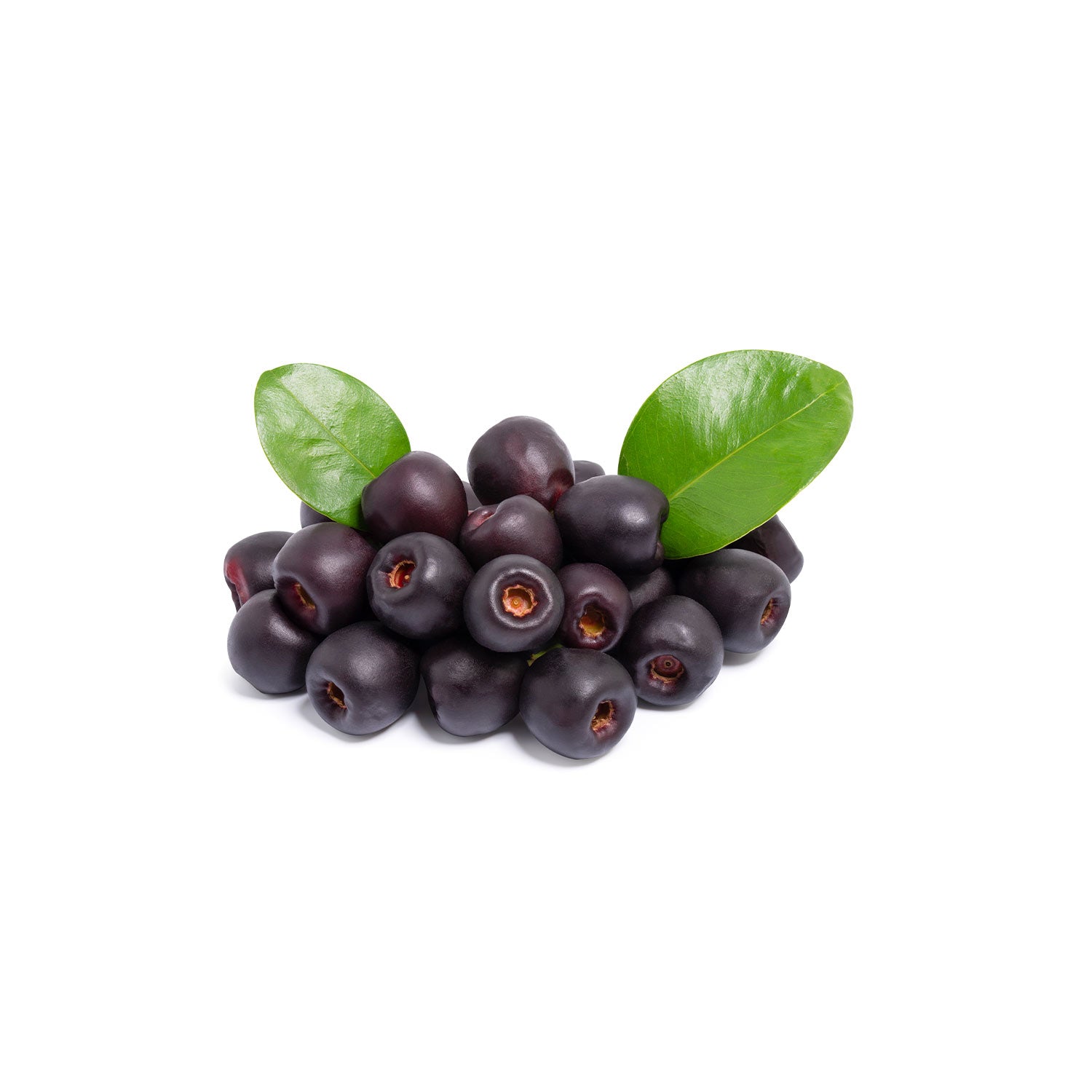 Jamun from the nuva