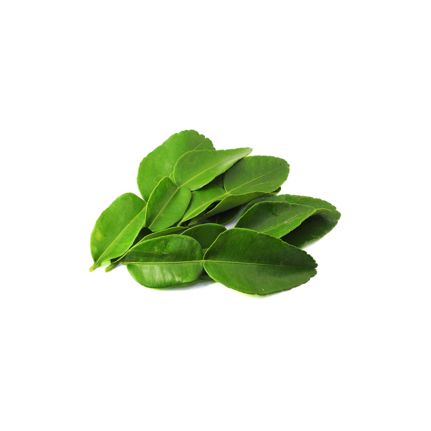 Kaffir Lime Leaves