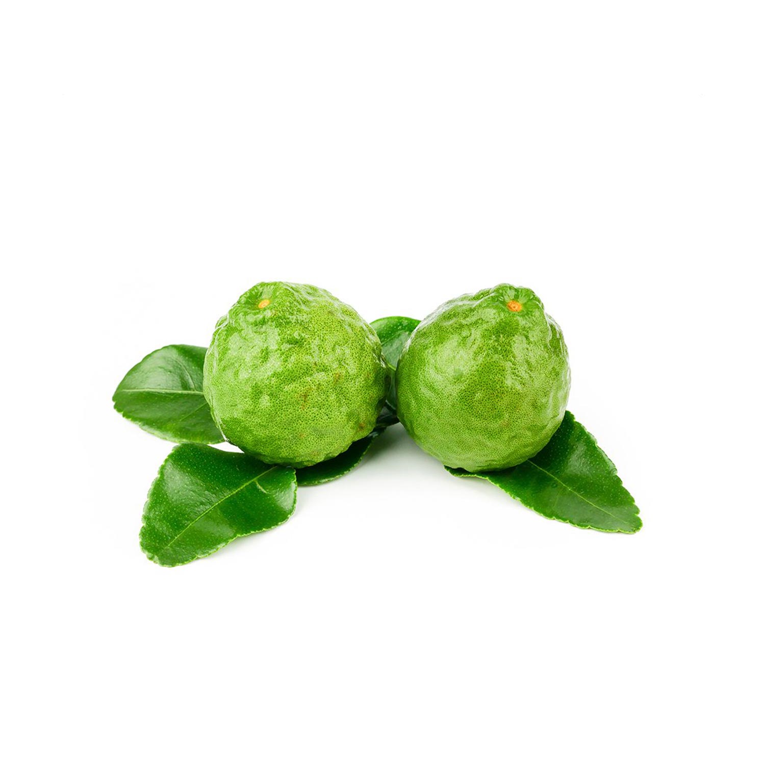Kaffir Lime