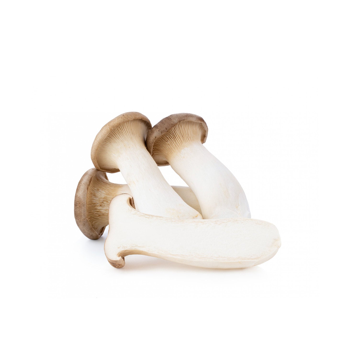 King Oyster Mushroom