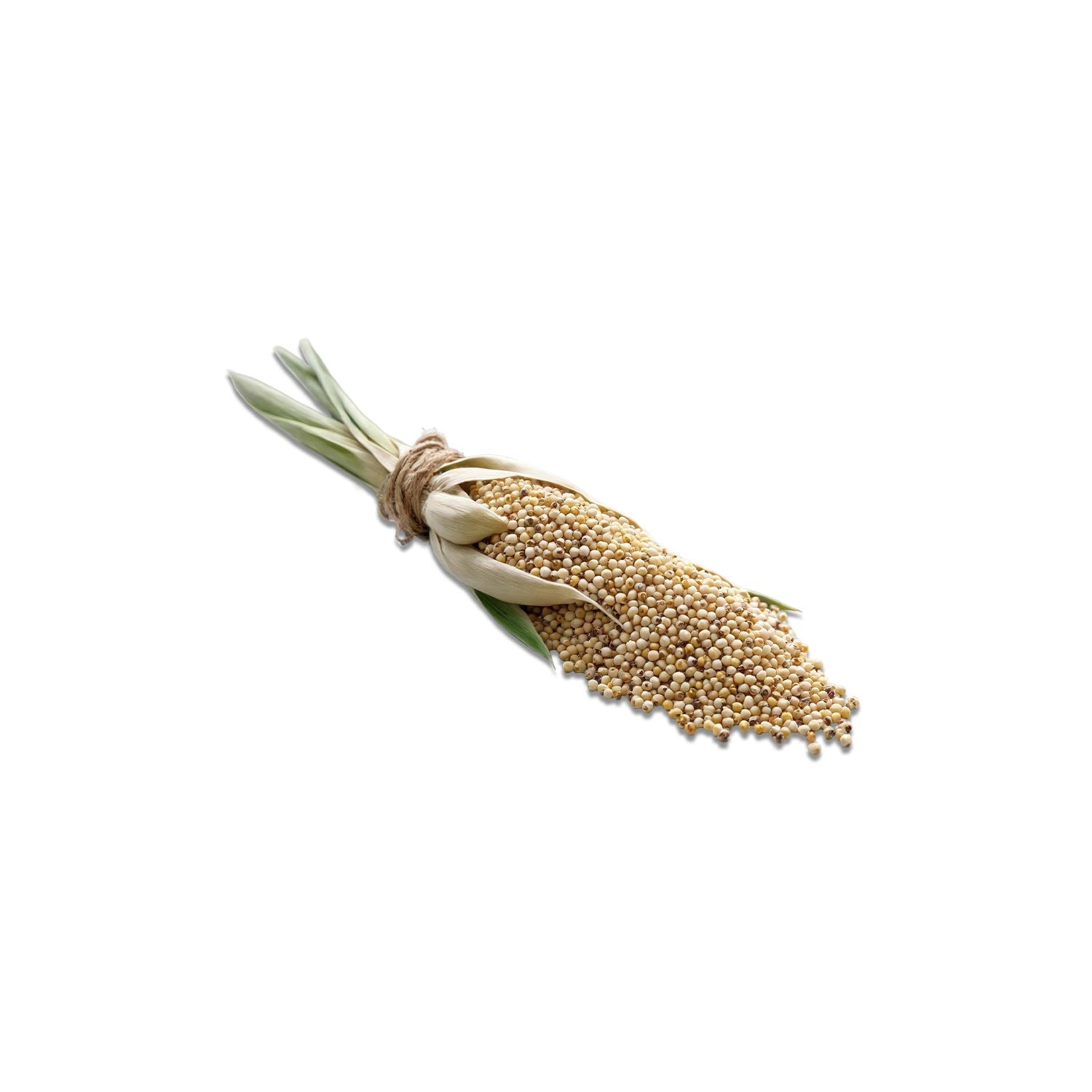 Kodo Millet (Kodri)