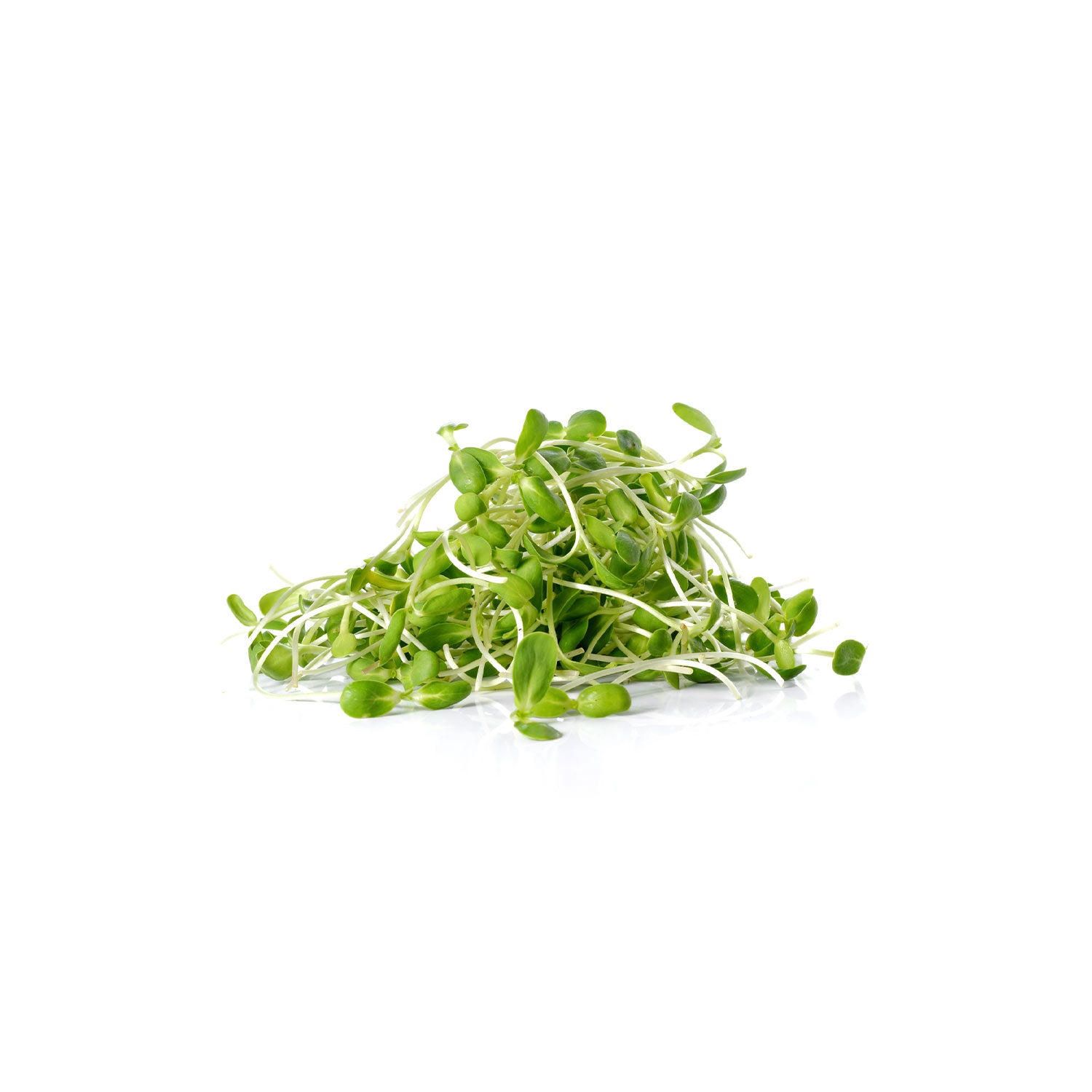 Micro Green
