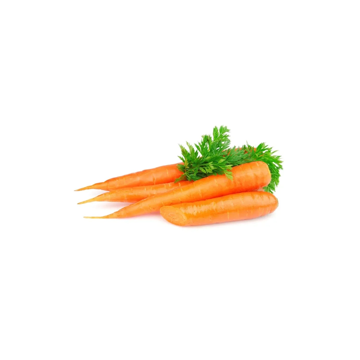 Orange Carrot from the nuva