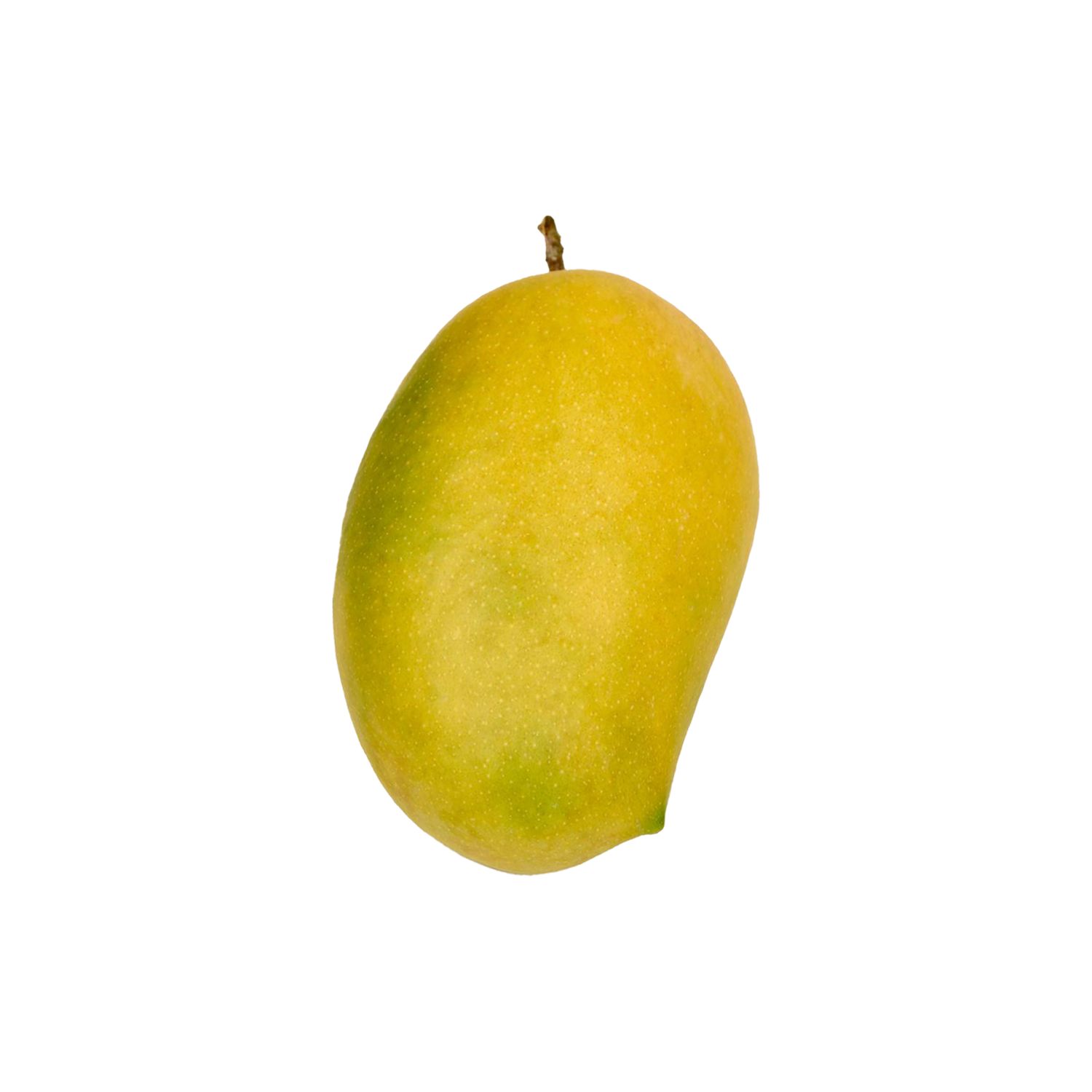 Ratnagiri Kesar Mango