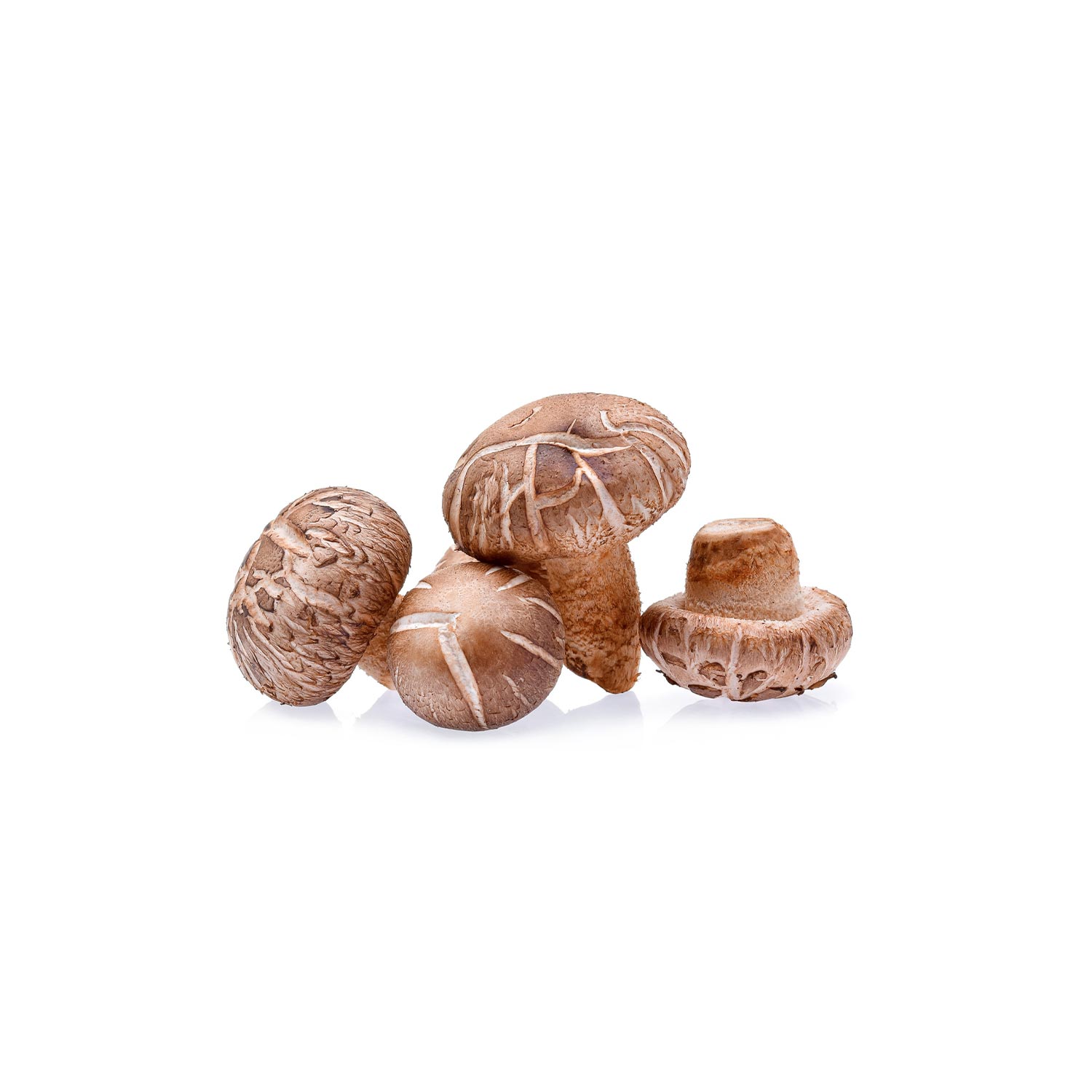Shiitake Mushroom