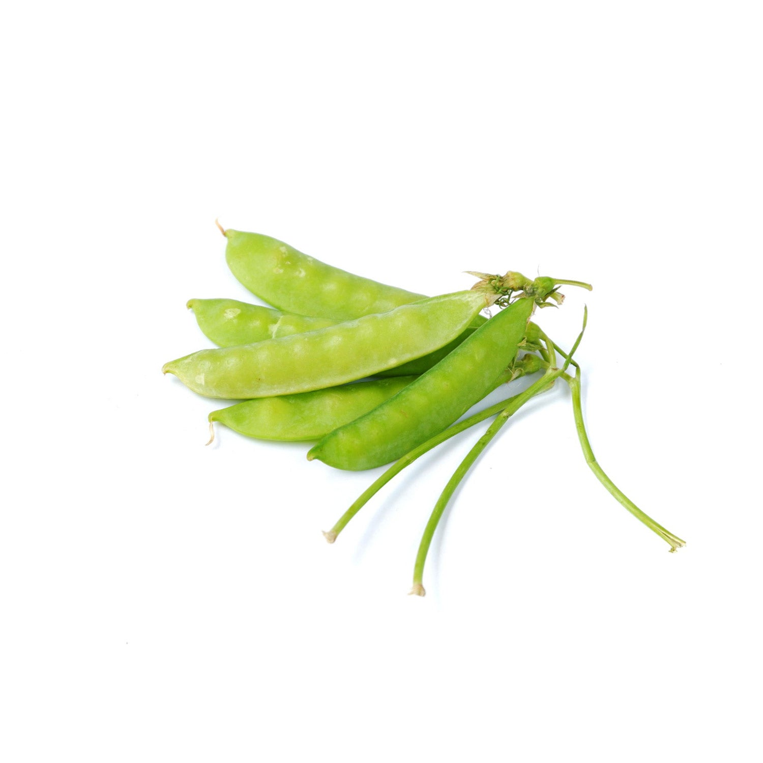 Snow Peas