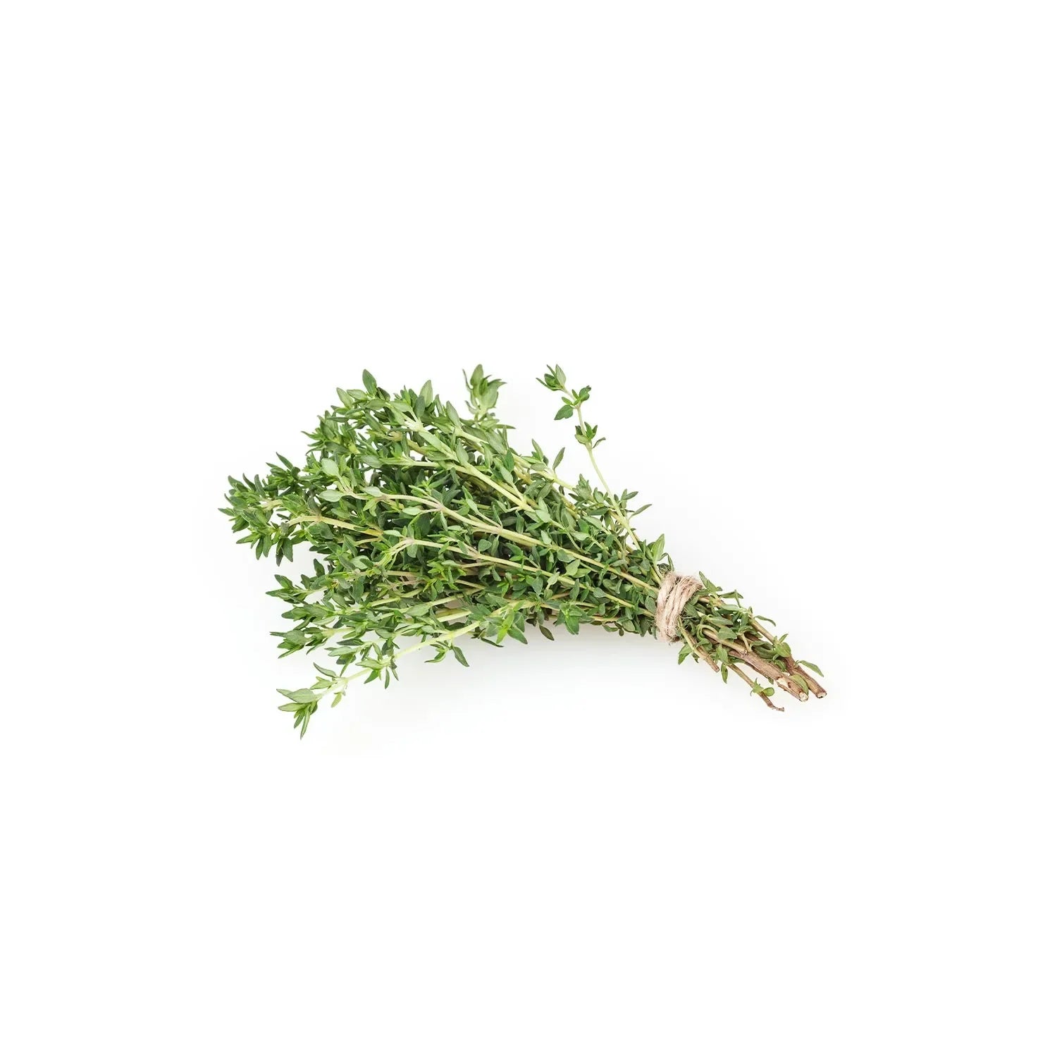Thyme from the nuva